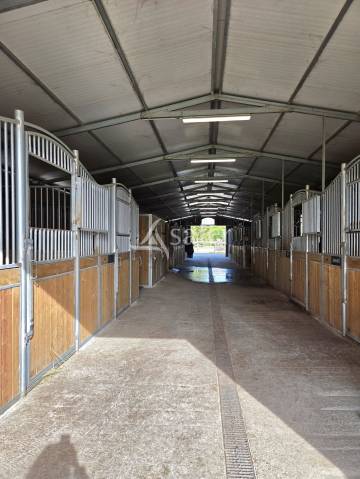 Propiedad ecuestre En venta Indre y Loira