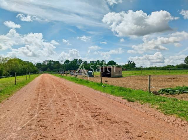 Explotaci&oacute;n agr&iacute;cola En venta Sarthe