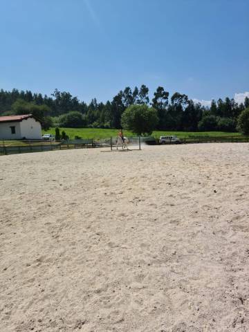 Pupilaje de caballos 