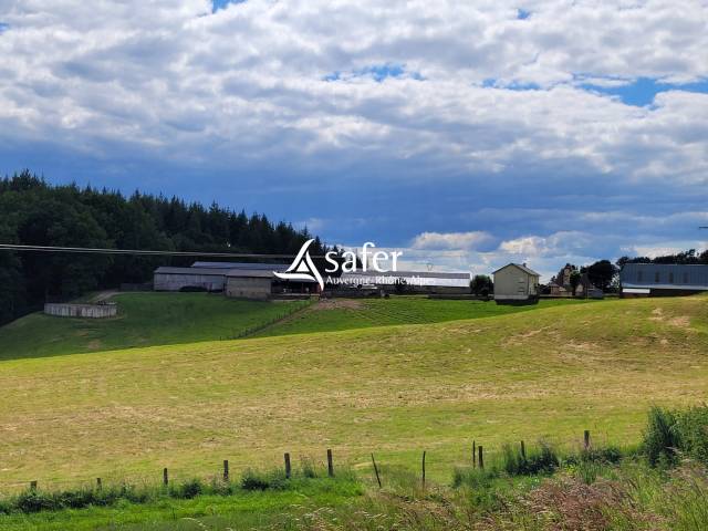 Explotaci&oacute;n lechera En venta Cantal