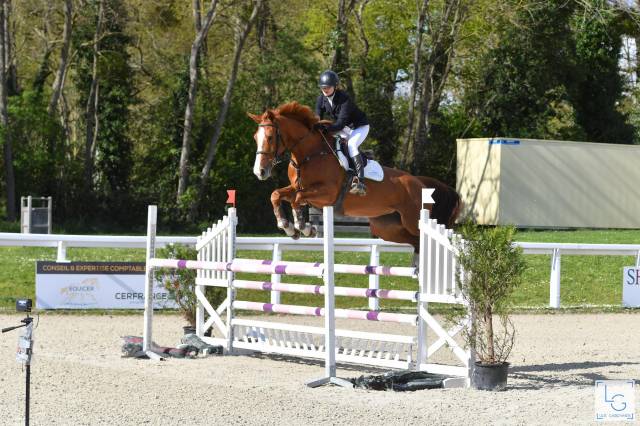 Yegua Silla Franc&eacute;s En venta 2015 Alaz&aacute;n por QUINTUS d'09