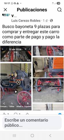 Carruaje faeton vis a vis