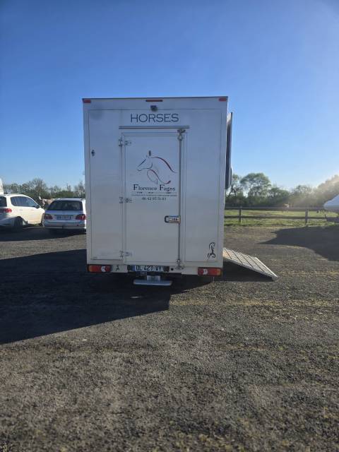 Furgoneta para caballos Renault Master 2014 De segunda mano