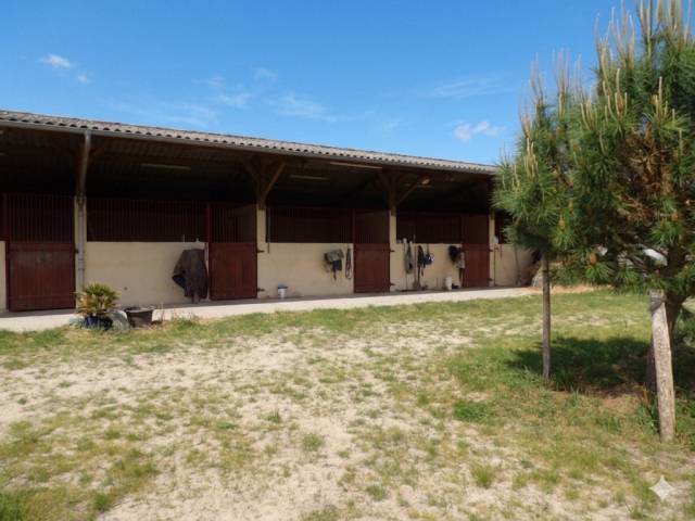 Cuadra de propietarios En venta Landas