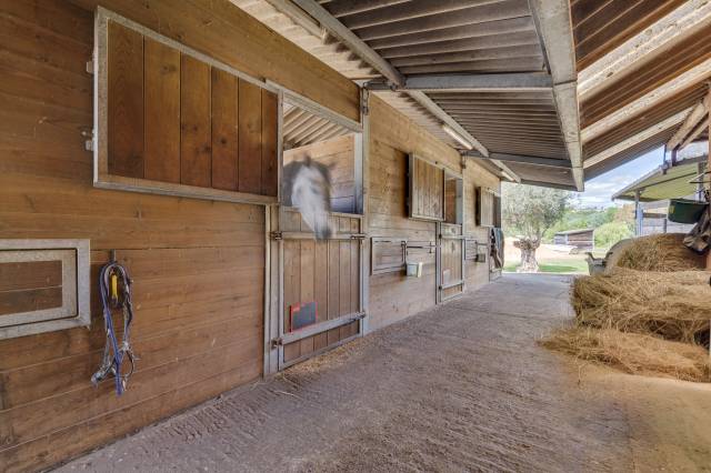 Propiedad ecuestre En venta Tarn y Garona