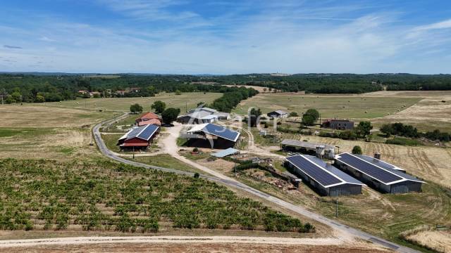 Explotaci&oacute;n ovina En venta Lot