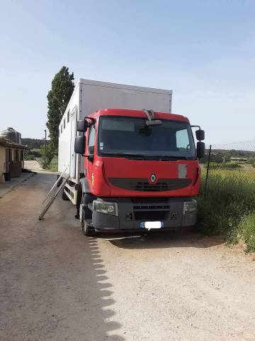 Cami&oacute;n para caballos Renault Premium  2010 De segunda mano