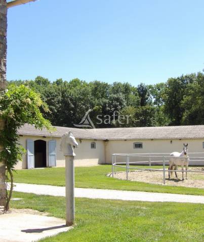 Propiedad ecuestre En venta Essonne
