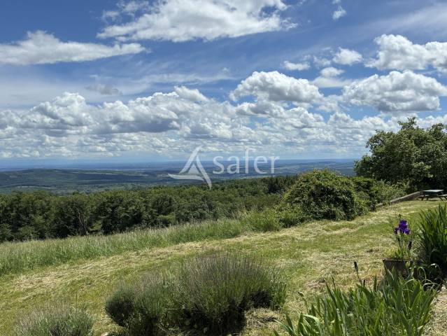 Explotaci&oacute;n agr&iacute;cola En venta Saona y Loira
