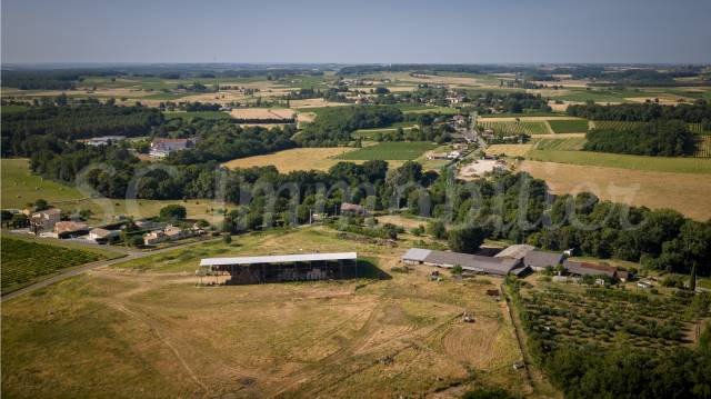 Explotaci&oacute;n agr&iacute;cola En venta Gironda