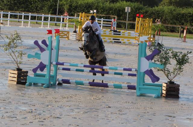 Caballo entero Silla Franc&eacute;s En venta 2022 Tordo