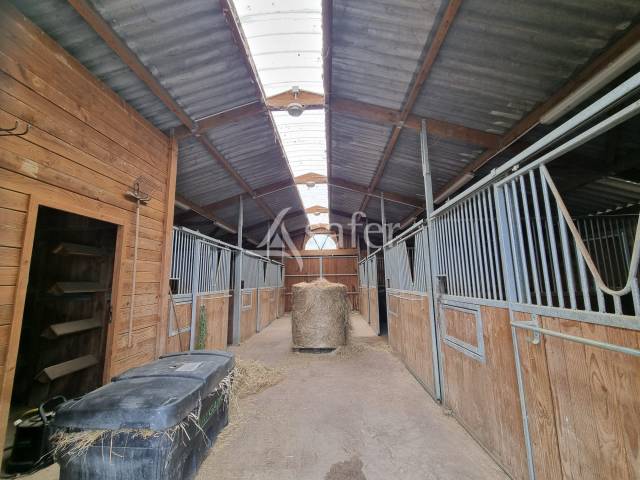 Propiedad rural En venta Lot