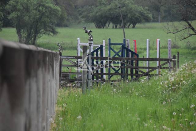 Propiedad rural En venta Lot
