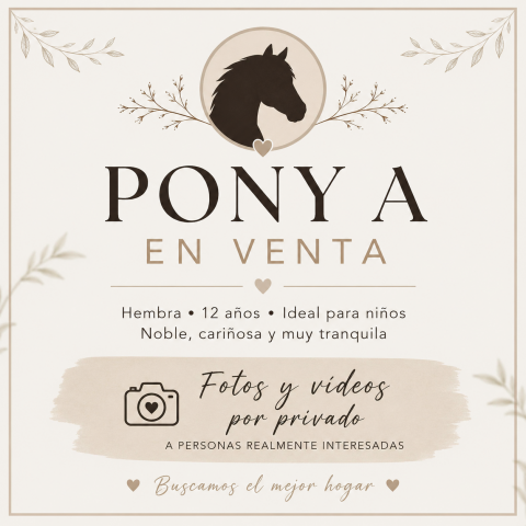 Venta pony A