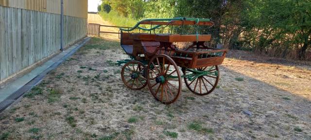Coche enganches - Carruaje con banqueta - Otra marca -  
