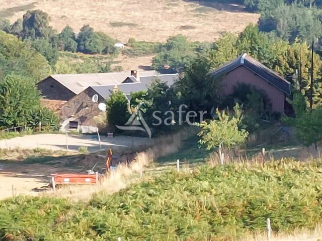Explotaci&oacute;n agr&iacute;cola En venta Alto Vienne