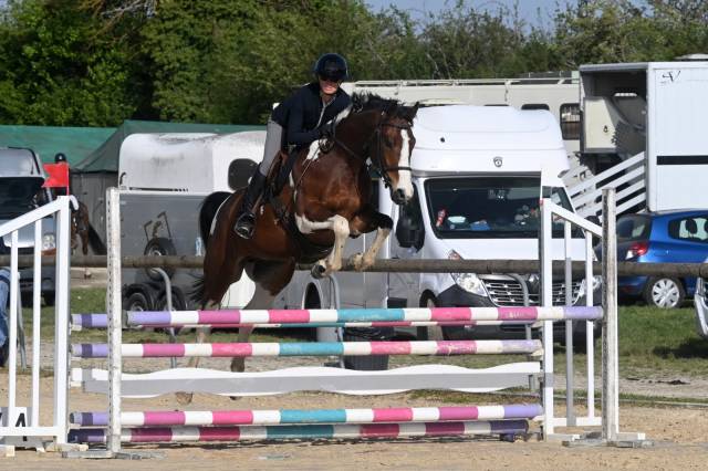 Caballo castrado Silla Franc&eacute;s En venta 2020 P&iacute;o por Fremch Touch's Dream