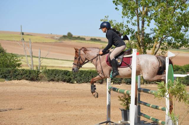 Poni C salto de obst&aacute;culos y completo