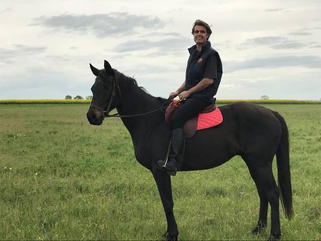 Caballo castrado AQPS Donaci&oacute;n 2006 Bayo moreno por TRIVELLINO