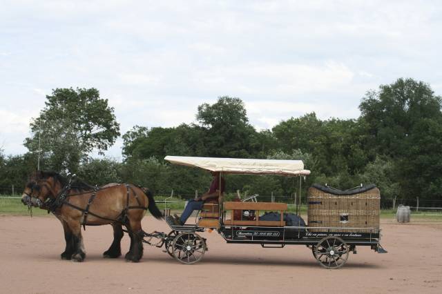Coche enganches - Calesa - Otra marca - CAMPAGNE 160 HANDY 