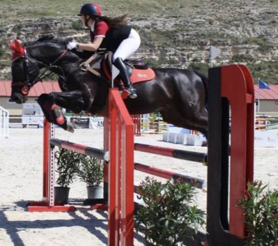Cesi&oacute;n caballo
