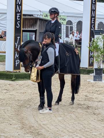 Semental PFS Poni Fran&ccedil;&eacute;s de Silla En venta 2019 Bayo moreno