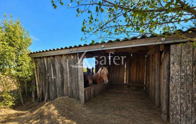 Propiedad ecuestre En venta Tarn