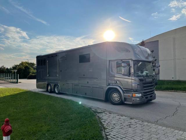 Cami&oacute;n para caballos Scania SCANIA P360 DICKENHERR POP OUT 2014 De segunda mano