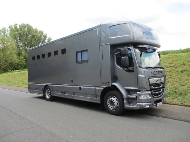 Cami&oacute;n para caballos Daf DAF LF 310 EHC 2026 Nuevo