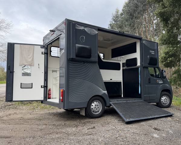  CITRO&Euml;N JUMPER &ndash; TRANSPORTE DE CABALLOS 