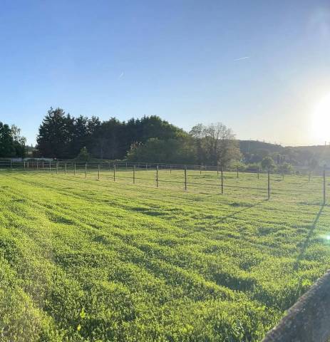 Propiedad ecuestre En venta Essonne