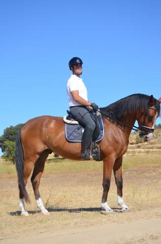 Caballo de Deporte