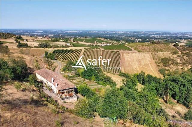 Propiedad rural En venta R&oacute;dano