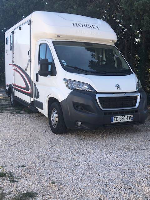 Furgoneta para caballos Peugeot equitreck 2016 De segunda mano
