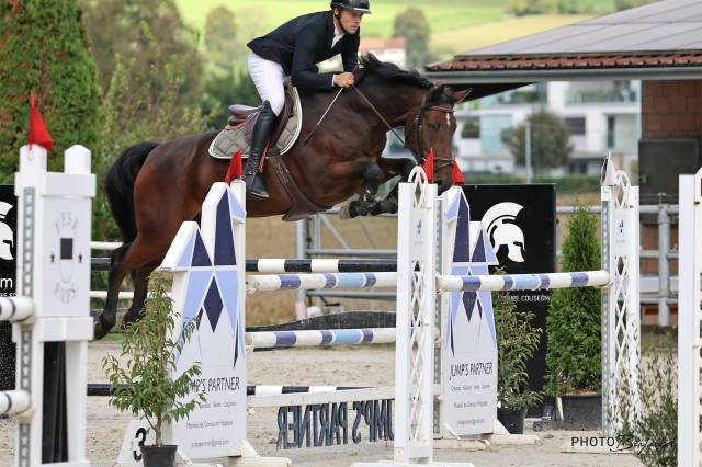 Caballo castrado Caballo de Deporte Suizo En venta 2016 Bayo por URANUS DE LA FOLIE