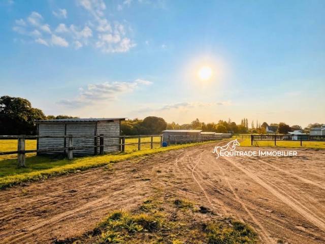 Propiedad ecuestre En venta Mancha