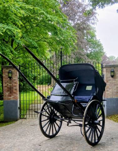Coche enganches - Calesa  Buggy de docteur 