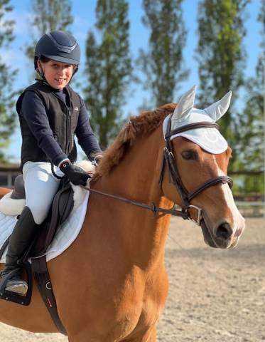 Caballo castrado British Spotted Pony En venta 2015 Alaz&aacute;n
