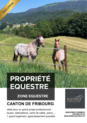 Granja ecuestre En venta Friburgo
