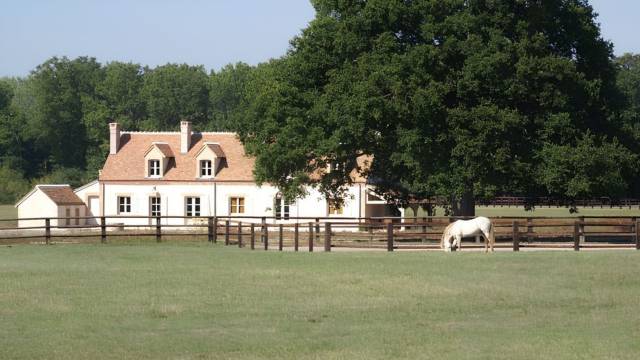 Propiedad ecuestre En venta Loir y Cher