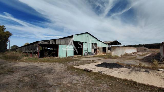 Explotaci&oacute;n ovina En venta Vienne