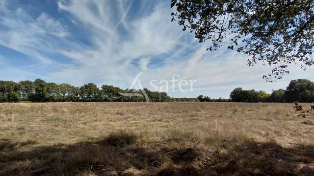 Explotaci&oacute;n agr&iacute;cola En venta Vienne