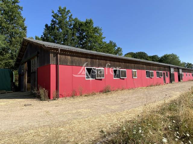 Propiedad ecuestre En venta Orne