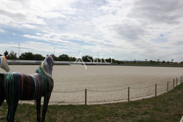 Propiedad ecuestre En venta Marne
