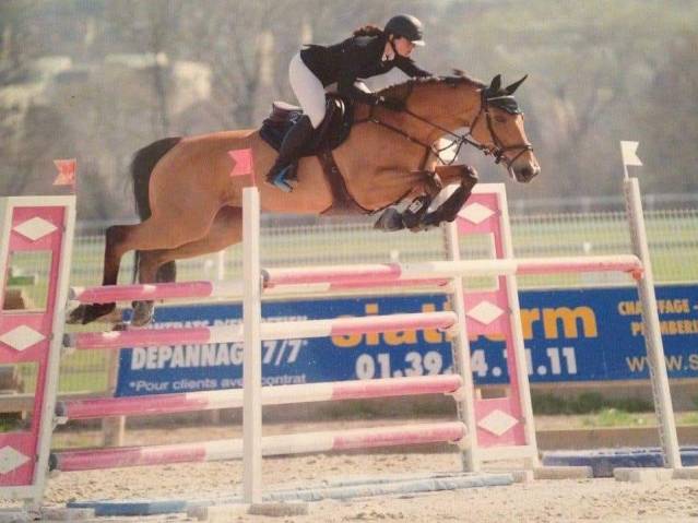 Yegua de ganader&iacute;a Silla Franc&eacute;s En venta 2007 Bayo