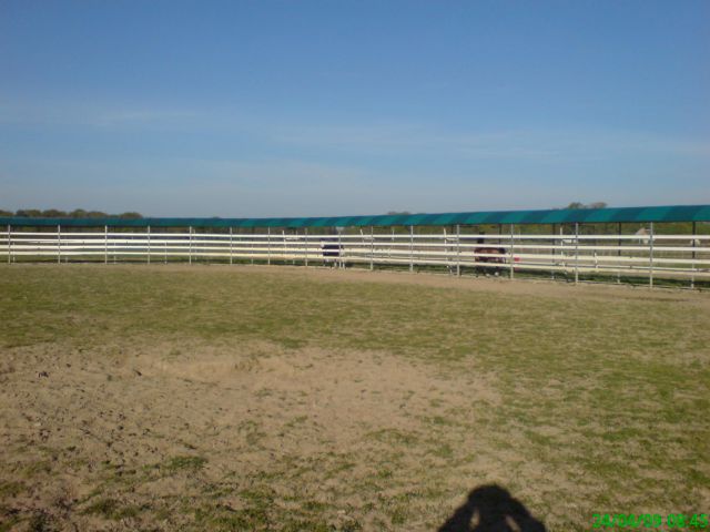 Caminador caballos Telehorse.com Nuevo