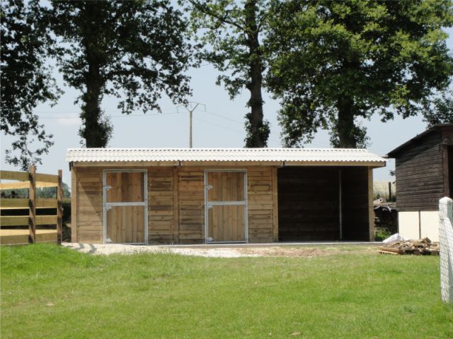 Box Cheval Liberté Nuevo