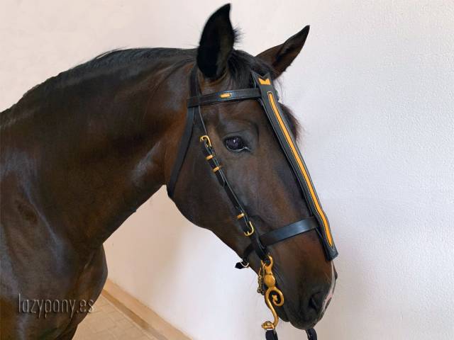 Cabezadas para caballo Lazypony, Baroque bridle