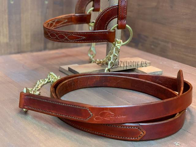Cabezadas de presentación Lazypony, show halter