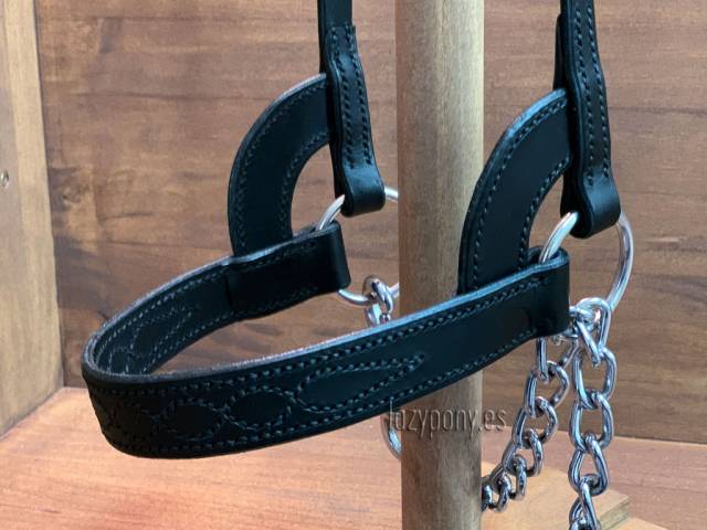 Cabezadas de presentación Lazypony, show halter